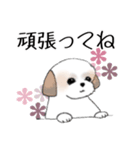 Stickers_Shih Tzu_h シーズースタンプ（個別スタンプ：13）