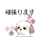 Stickers_Shih Tzu_h シーズースタンプ（個別スタンプ：14）