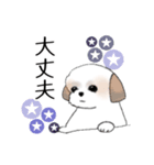 Stickers_Shih Tzu_h シーズースタンプ（個別スタンプ：15）