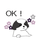 Stickers_Shih Tzu_h シーズースタンプ（個別スタンプ：19）