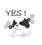 Stickers_Shih Tzu_h シーズースタンプ（個別スタンプ：20）