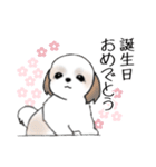 Stickers_Shih Tzu_h シーズースタンプ（個別スタンプ：21）