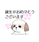 Stickers_Shih Tzu_h シーズースタンプ（個別スタンプ：22）