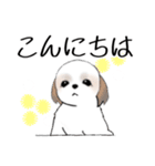 Stickers_Shih Tzu_h シーズースタンプ（個別スタンプ：26）