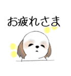 Stickers_Shih Tzu_h シーズースタンプ（個別スタンプ：27）