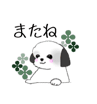 Stickers_Shih Tzu_h シーズースタンプ（個別スタンプ：29）