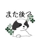 Stickers_Shih Tzu_h シーズースタンプ（個別スタンプ：32）