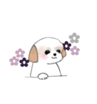 Stickers_Shih Tzu_h シーズースタンプ（個別スタンプ：33）