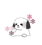 Stickers_Shih Tzu_h シーズースタンプ（個別スタンプ：37）