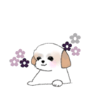 Stickers_Shih Tzu_h シーズースタンプ（個別スタンプ：38）