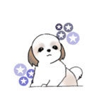 Stickers_Shih Tzu_h シーズースタンプ（個別スタンプ：40）