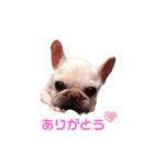 グリコV2（個別スタンプ：6）