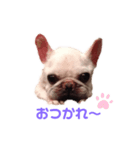 グリコV2（個別スタンプ：8）