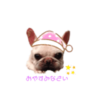 グリコV2（個別スタンプ：12）