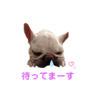 グリコV2（個別スタンプ：16）