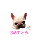 グリコV2（個別スタンプ：19）