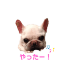 グリコV2（個別スタンプ：22）