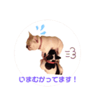 グリコV2（個別スタンプ：27）
