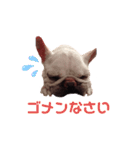 グリコV2（個別スタンプ：33）