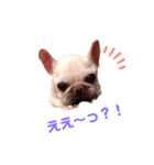 グリコV2（個別スタンプ：34）