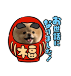 ポメラニアンのモアちゃんお正月編（個別スタンプ：3）