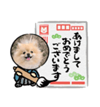 ポメラニアンのモアちゃんお正月編（個別スタンプ：8）