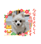 ルナ＆りく（個別スタンプ：1）