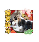 ルナ＆りく（個別スタンプ：2）