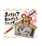 ルナ＆りく（個別スタンプ：4）
