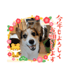 ルナ＆りく（個別スタンプ：5）