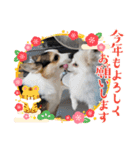 ルナ＆りく（個別スタンプ：6）