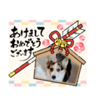 ルナ＆りく（個別スタンプ：8）
