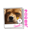 チワックスルークの一日7（個別スタンプ：39）