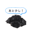 y.くぅちゃん（個別スタンプ：11）