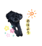 y.くぅちゃん（個別スタンプ：14）