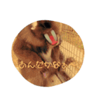 可愛い動物たちがいろいろ言ってますわっ（個別スタンプ：23）