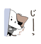 眼帯にゃんこ（個別スタンプ：12）