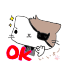 眼帯にゃんこ（個別スタンプ：16）