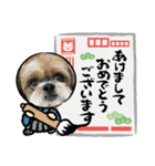 シーズー犬ぽぽ 2022年末年始（個別スタンプ：3）