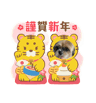 シーズー犬ぽぽ 2022年末年始（個別スタンプ：4）