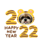 シーズー犬ぽぽ 2022年末年始（個別スタンプ：5）