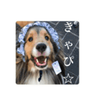 璃空とぽんずと愉快な仲間たち2（個別スタンプ：1）