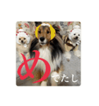 璃空とぽんずと愉快な仲間たち2（個別スタンプ：4）