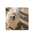 璃空とぽんずと愉快な仲間たち2（個別スタンプ：7）
