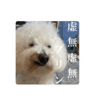 璃空とぽんずと愉快な仲間たち2（個別スタンプ：8）