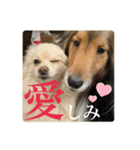 璃空とぽんずと愉快な仲間たち2（個別スタンプ：10）