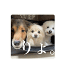 璃空とぽんずと愉快な仲間たち2（個別スタンプ：14）
