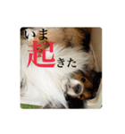 璃空とぽんずと愉快な仲間たち2（個別スタンプ：17）
