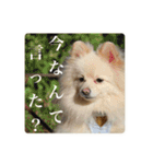 璃空とぽんずと愉快な仲間たち2（個別スタンプ：18）