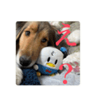 璃空とぽんずと愉快な仲間たち2（個別スタンプ：20）